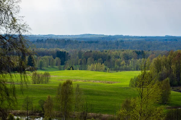 Schlichte Ländliche Frühlingslandschaft Mit Frischen Grünen Wiesen Und Wäldern Blauer — Stockfoto