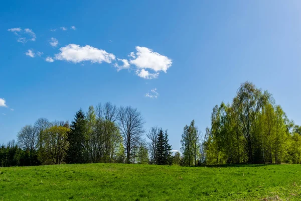 Pianura Semplice Campagna Paesaggio Primaverile Con Prati Verdi Freschi Boschi — Foto Stock