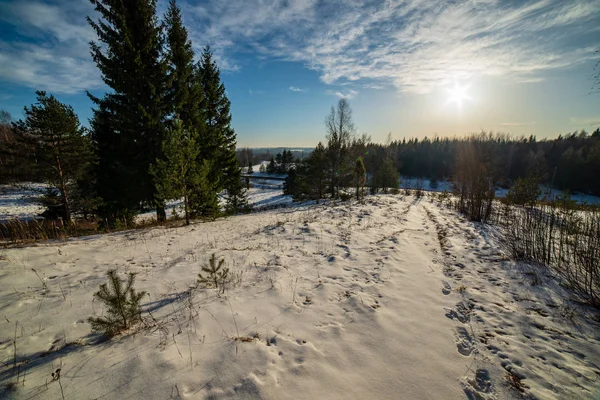 Paisaje Rural Sencillo Latvia Con Campos Árboles Bajo Nieve Hierba — Foto de Stock