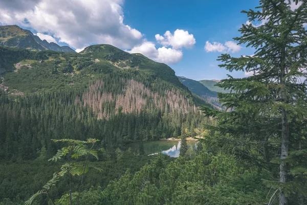 western carpathian mountains on clear day, Tatra hiking trails