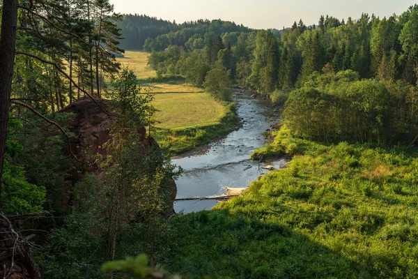 Vatten Ström Floden Amata Lettland Med Sandsten Klippor Gröna Bladverk — Stockfoto