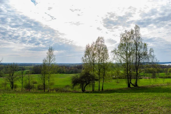 Простой Сельской Местности Весенний Пейзаж Свежими Зелеными Лугами Лесами Голубое — стоковое фото