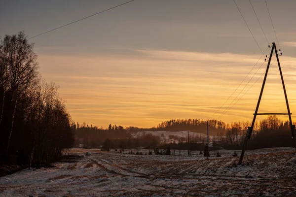 Paisaje Rural Sencillo Latvia Con Campos Árboles Bajo Nieve Hierba — Foto de Stock