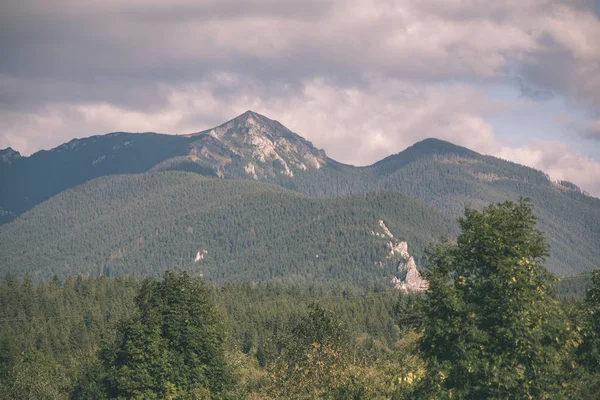 Zataženo Mlhavo Slovenská Západní Karpaty Tatra Mountain Panorama Pokryté Lesy — Stock fotografie