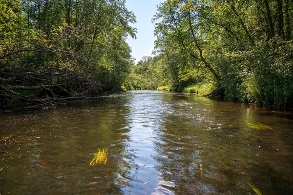 nehir, Amata Letonya yaz sabahı kumtaşı kayalıklarla, yeşil yaprakları ile su akışı