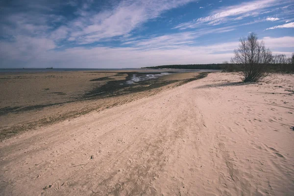 Pustej Plaży Wiosną Niektórych Ptaków Ładunków Statków Horyzoncie Błękitne Niebo — Zdjęcie stockowe