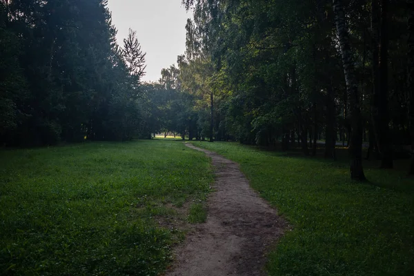 Eenvoudige Platteland Bos Weg Perspectief Met Loof Bomen Rond — Stockfoto