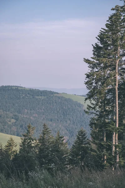 Western Carpathian Mountains Clear Day Tatra Hiking Trails — Stock Photo, Image