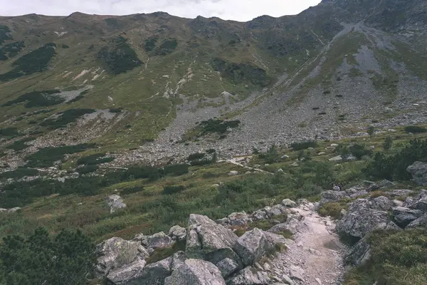 Vandringsleder Slovakien Tatra Nära Bergen Mountain Lake Rohache — Stockfoto