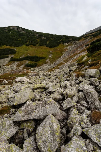 Trilhas Para Caminhadas Eslováquia Montanhas Tatra Perto Lago Montanha Rohache — Fotografia de Stock
