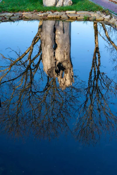 Plan Eau Naturel Étang Avec Reflets Arbres Nuages Dans Une — Photo