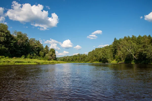 Wasserlauf Fluss Amata Lettland Mit Sandsteinfelsen Grünes Laub Sommermorgen — Stockfoto