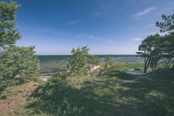Panoramisch Zee Uitzicht Het Strand Zomer Met Rotsen Planten Schoon — Stockfoto