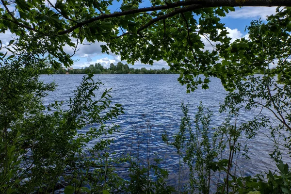 Спокойный Летний Вид Озеро Чистой Водой Травой Изгибы Зеленая Листва — стоковое фото