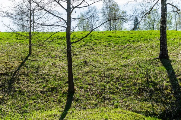 Zwykły Prosty Countryside Krajobraz Wiosną Świeżych Zielonych Łąk Lasów Błękitne — Zdjęcie stockowe