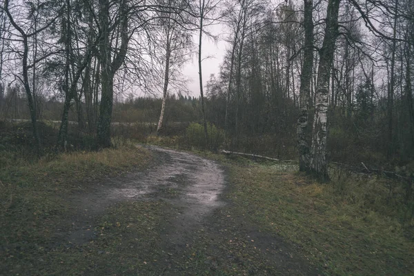 simple countryside forest road in perspective with foliage and trees around - vintage retro look