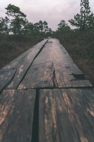 old wooden plank boardwalk trail in swamp area near water in autumn colored nature - vintage retro look