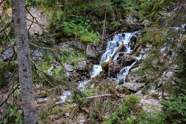 Malebné Záběr Vodopád Horském Lese — Stock fotografie