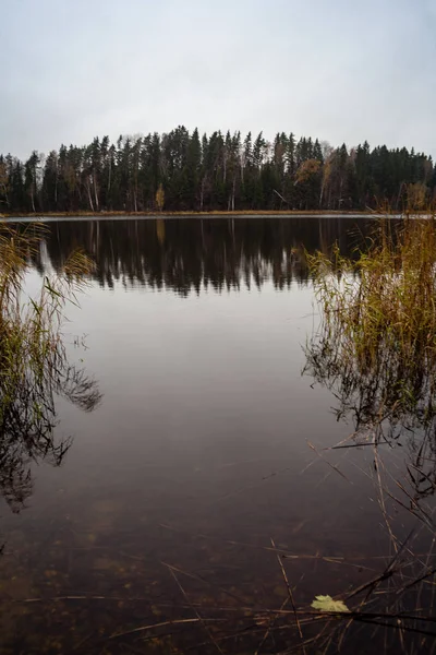 Tubuh Alami Air Kolam Dengan Refleksi Pohon Dan Awan Permukaan — Stok Foto