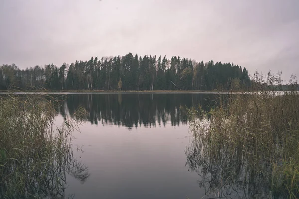 Natürliches Gewässer Teich Mit Reflexionen Von Bäumen Und Wolken Ruhiger — Stockfoto