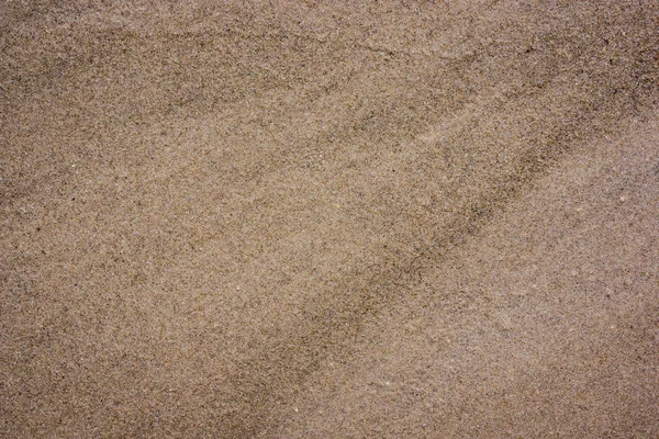 Абстрактный Текстурный Песок Рядом Водным Объектом Некоторыми Растениями — стоковое фото