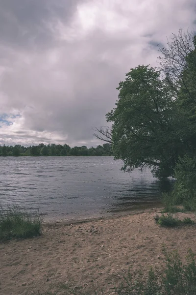 Vista Calma Dia Verão Junto Lago Com Água Limpa Grama — Fotografia de Stock