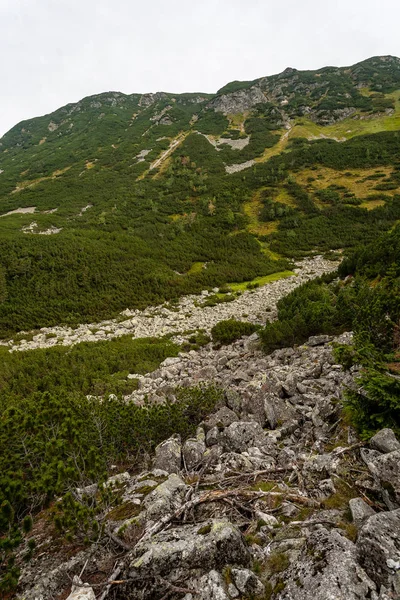 Turstier Slovakia Tatra Fjellene Nær Fjellsjøen Rohache – stockfoto