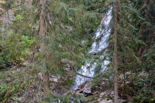 Malebné Záběr Vodopád Horském Lese — Stock fotografie