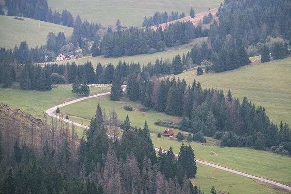슬로바키아 빈티지 레트로 보이는 산으로 이어지는 풀밭에 자갈도로 — 스톡 사진
