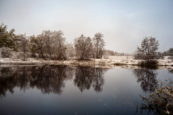 Scenic View Lake Snowy Trees — Stock Photo, Image