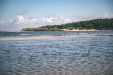 boş deniz plaj bazı kuşlar ve kargo ile bahar ufukta gemi. mavi gökyüzü, bulutlar - vintage bir retro görünüm