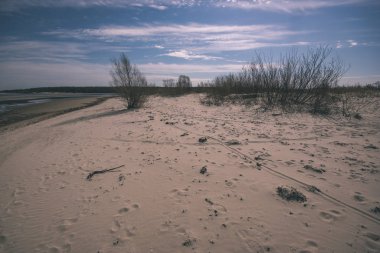 boş deniz plaj bazı kuşlar ve kargo ile bahar ufukta gemi. mavi gökyüzü, bulutlar - vintage bir retro görünüm