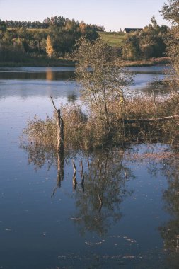 doğal vücut su. Gölet yansımaları, ağaç ve sakin su yüzeyi - vintage bir retro görünüm bulutlarda ile.