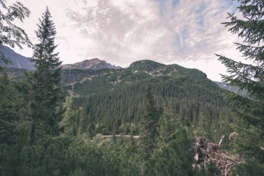 erken sonbahar renkleri - vintage bir retro görünüm içinde ağaçlar ve ormanlar ile kaplı bulutlu ve sisli Slovakça Western Karpat Tatra dağ manzarası