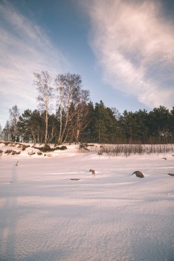 Kışın kar yüksek düzeyde ile geç akşam gün batımından önce - vintage bir retro görünüm, vahşi orman