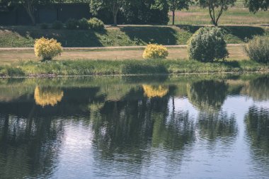 temiz su ve su çimen, bents ve yeşil yeşillik forest - vintage bir retro görünüm yakınındaki göl kenarında sakin yaz günü göster