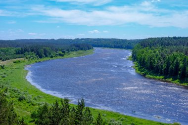 temiz su ve su çimen, bents ve yeşil yeşillik forest yakınındaki göl kenarında sakin yaz günü göster
