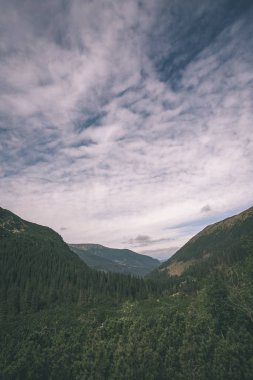 erken sonbahar renkleri - vintage bir retro görünüm içinde ağaçlar ve ormanlar ile kaplı bulutlu ve sisli Slovakça Western Karpat Tatra dağ manzarası