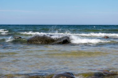 panoramik deniz plaj manzarası içinde kaya, bitkiler ve temiz su ile yaz aylarında güneşli bir gün