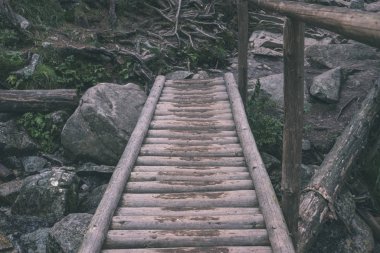 su yeşil yaz orman çevresinde göl ile ahşap ve kompozit malzeme ayak köprüden