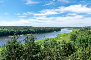 temiz su ve su çimen, bents ve yeşil yeşillik forest yakınındaki göl kenarında sakin yaz günü göster