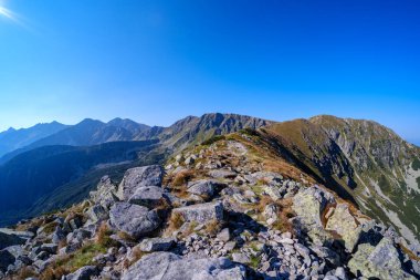 Uzak dağ çekirdek Slovakya'da Tatra mountain parkurları mavi gökyüzü ve yeşil bitki örtüsü ile açık sonbahar günü sis