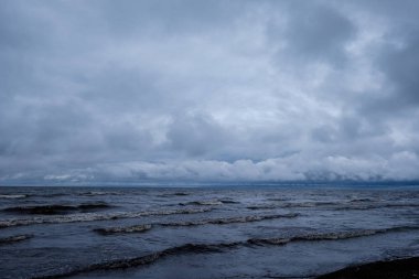 panoramik deniz plaj manzarası içinde kaya, bitkiler ve temiz su ile yaz aylarında güneşli bir gün