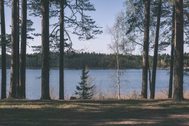 Göl kıyısı ağaçları ile doğal görünümünü 