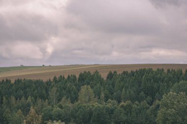 Sonbahar ile ormanları sisli gün Slovakya Tatra Dağları'nda. Islak gün - vintage retro bak