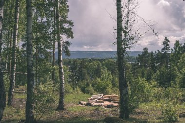 kayalık sahil şeridine Norveç'te kaç çam ağaçları ve mavi gökyüzü - vintage bir retro görünüm altında sakin su