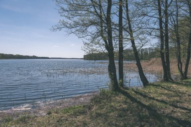 göl kıyısı ile yeşil yaz ayrı ağaçlarda arazi üzerinde. aracılığıyla görülen su ve yeşil yeşillik ön planda - retro vintage bakmak