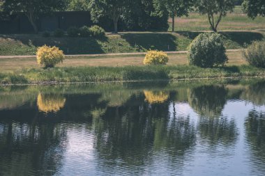 temiz su ve su çimen, bents ve yeşil yeşillik forest yakınındaki göl kenarında sakin yaz günü göster