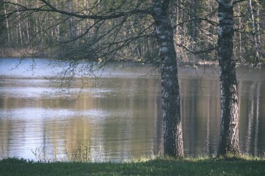 Göl kıyısı ağaçları ile doğal görünümünü 