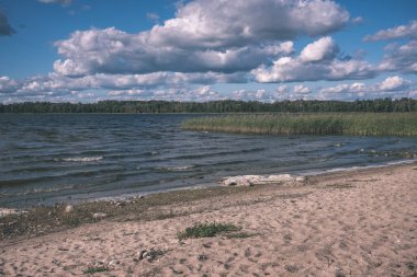panoramik deniz plaj manzarası içinde kaya, bitkiler ve temiz su ile yaz aylarında güneşli bir gün